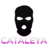 Server icon
